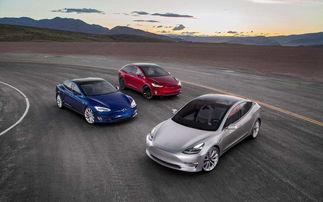 网友爆料特斯拉视频大全,揭秘自动驾驶与神秘功能  第3张